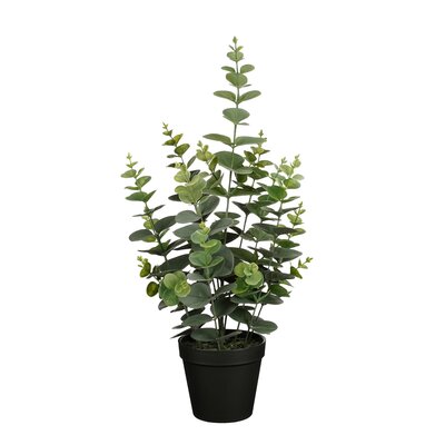 Eucalyptus in pot groen - H53 x Ø23 cm - afbeelding 1