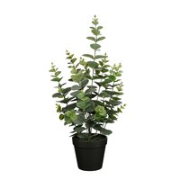 Eucalyptus in pot groen - H53 x Ø23 cm - afbeelding 2