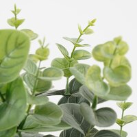 Eucalyptus in pot groen - H53 x Ø23 cm - afbeelding 3