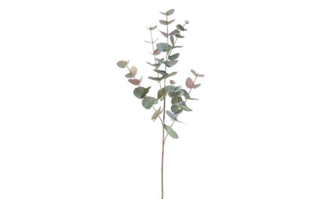 Eucalyptus l85cm groen/rood, kunstplant