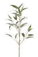 Eucalyptussteel, 90 cm, groen