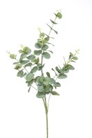 Eucalyptustak, 81 cm, groen