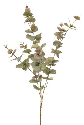 Eucalyptustak L 97cm groen/grijs