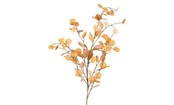 Eucalyptustak  L118cm Oranje/rd