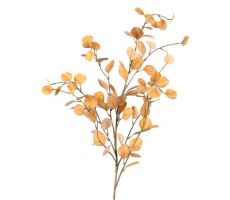 Eucalyptustak  L118cm Oranje/rd
