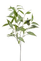 Eucalyptustak x5, 93 cm, grijs