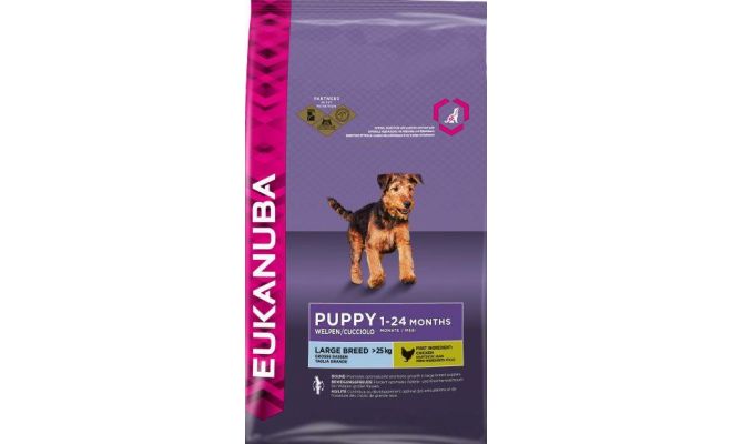 Eukanuba Puppy/junior large chicken 3 kg