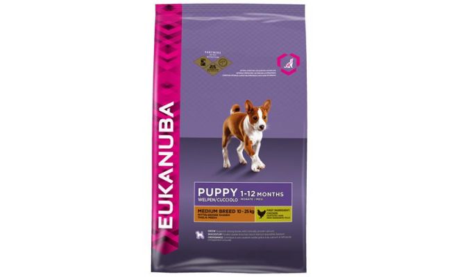 Eukanuba Puppy/junior medium chicken 3 kg - afbeelding 1