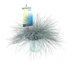 Festuca glauca Intense Blue, pot 23 cm, h 40 cm - afbeelding 1