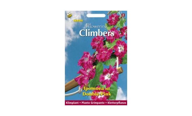 Flowering climbers ipomoea dubb. 2g