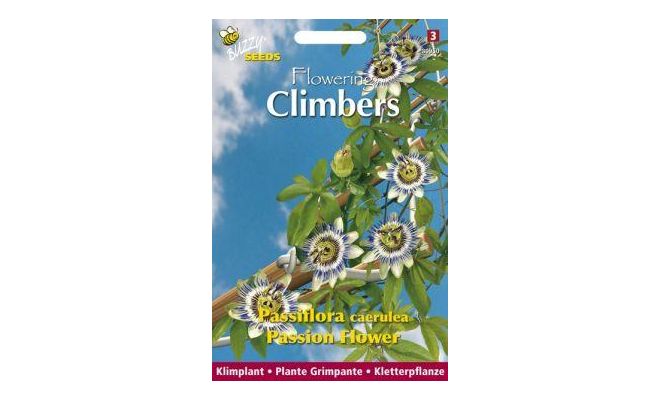 Flowering climbers passiflora 0.5g