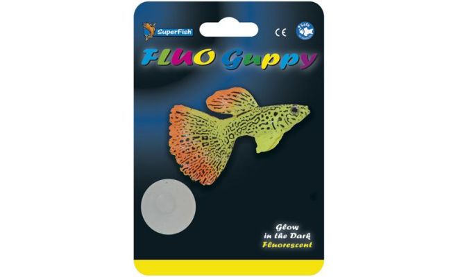 Fluo guppy