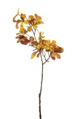 Foliagetak, 166 cm, geel