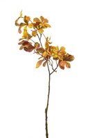 Foliagetak, 166 cm, geel