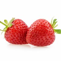 Fragaria mara des bois, pot 10,5 cm, aardbei - afbeelding 2