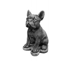 Franse bulldog, beton, l 25 cm, b 20 cm, h 30 cm - afbeelding 2