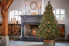 Frasier kerstboom groen, 1880 tips - H185xD124cm - afbeelding 6