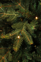 Frasier kerstboom groen met 288 led, 1880 tips - H185xD124cm - afbeelding 10