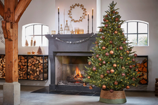 Frasier kerstboom groen met 408 led, 2688 tips - H215xD145cm - afbeelding 8