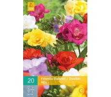 Freesia dubbel/double mix 20st - afbeelding 4