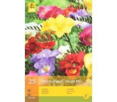 Freesia enkel/single mix 20st - afbeelding 4