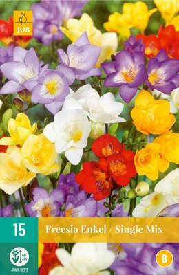 Freesia enkel mix 15st