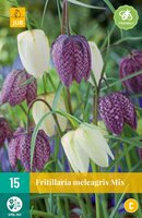 Fritillaria meleagris mix 15st - afbeelding 2