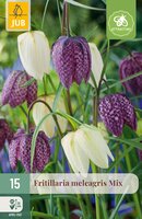Fritillaria meleagris Mix, 15 stuks