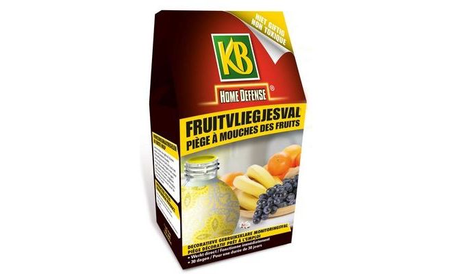 KB Fruitvliegval 1 stuk