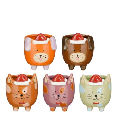 Funny pot rond oranje mint groen paars bruin l.bruin 5 assorti 20 stuks display - h9xd7,5cm