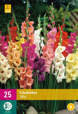 Gladiolus mix 25st