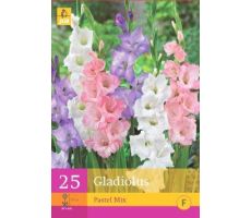 Gladiolus pastel mix 25st - afbeelding 4