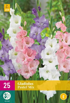 Gladiolus pastel mix 25st
