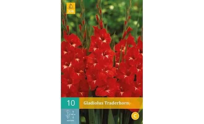 Gladiolus traderhorn 10st - afbeelding 1
