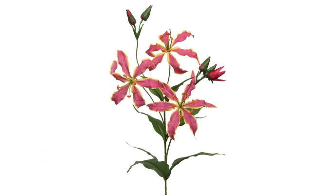 Gloriosasteel pes l10b30h87cm roze, kunstplant