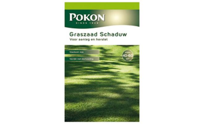 Graszaad schaduw, Pokon, 1 kg - afbeelding 1