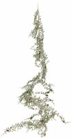 guirlande pijnboom 220 cm - afbeelding 1