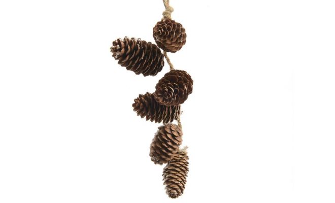 Ornament naturel dennenappels L 20cm bruin - afbeelding 1