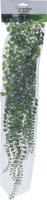 hangplant 80cm, meerdere soorten, per stuk - afbeelding 4
