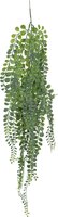 hangplant 80cm, meerdere soorten, per stuk - afbeelding 3