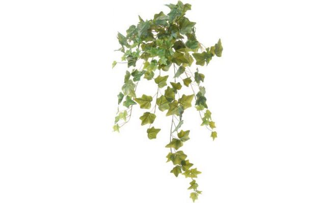 hangplant hedera l68cm groen header, kunstplant