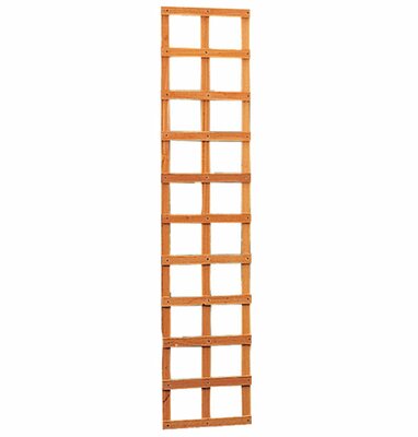 Hardhouten trellis rechthoek 40 x 180 cm.