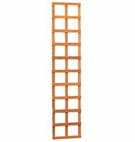 Hardhouten trellis rechthoek 40 x 180 cm.