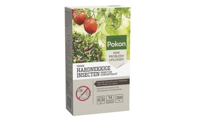 Hardnekkige insecten concentraat, Pokon, 250 ml