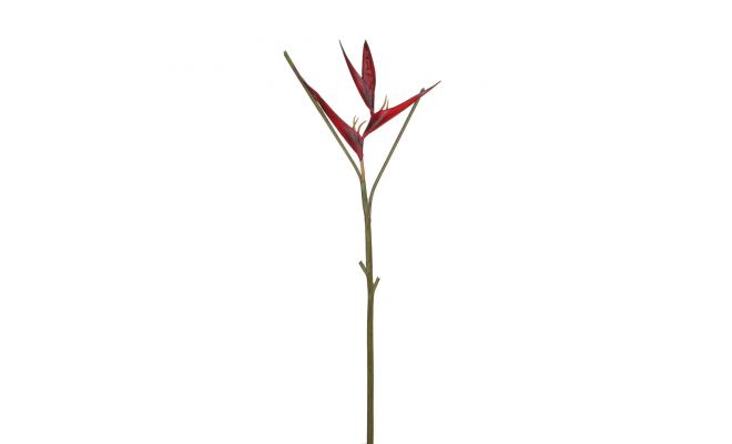 Heliconiasteel L121cm rood, kunstplant