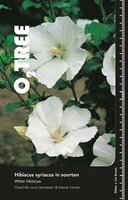 Hibiscus Flower Tower White, pot 29 cm, h 100 cm - afbeelding 2