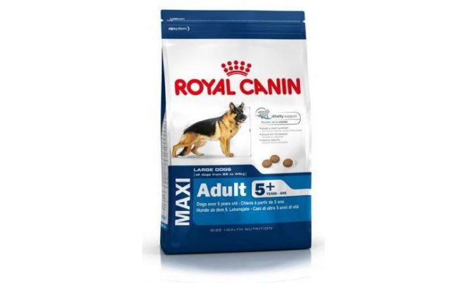 Hondenvoer, Royal Canin, maxi, adult 5+, 4 kg