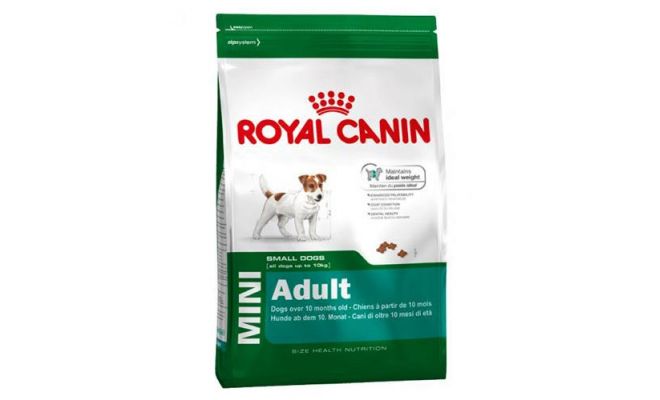 Hondenvoer, Royal Canin, mini, adult, 8 kg