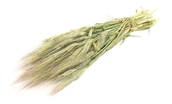 Hordeum in hoes naturel 200g - afbeelding 1