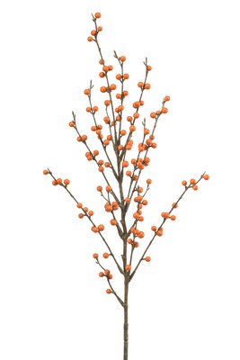Hulststeel, 90 cm, oranje